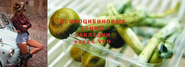 герыч Алзамай