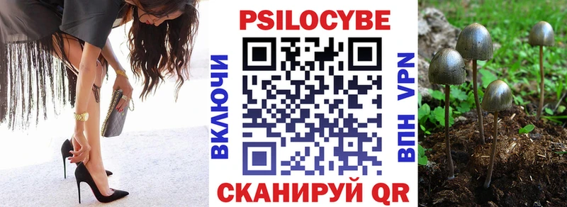как найти закладки  Дегтярск  Псилоцибиновые грибы MAGIC MUSHROOMS 